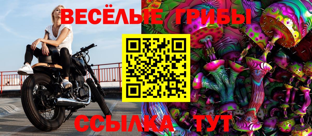 Пугачёв  Псилоцибиновые грибы GOLDEN TEACHER  Галлюциногенные грибы Psilocybe  Вход с VPN 