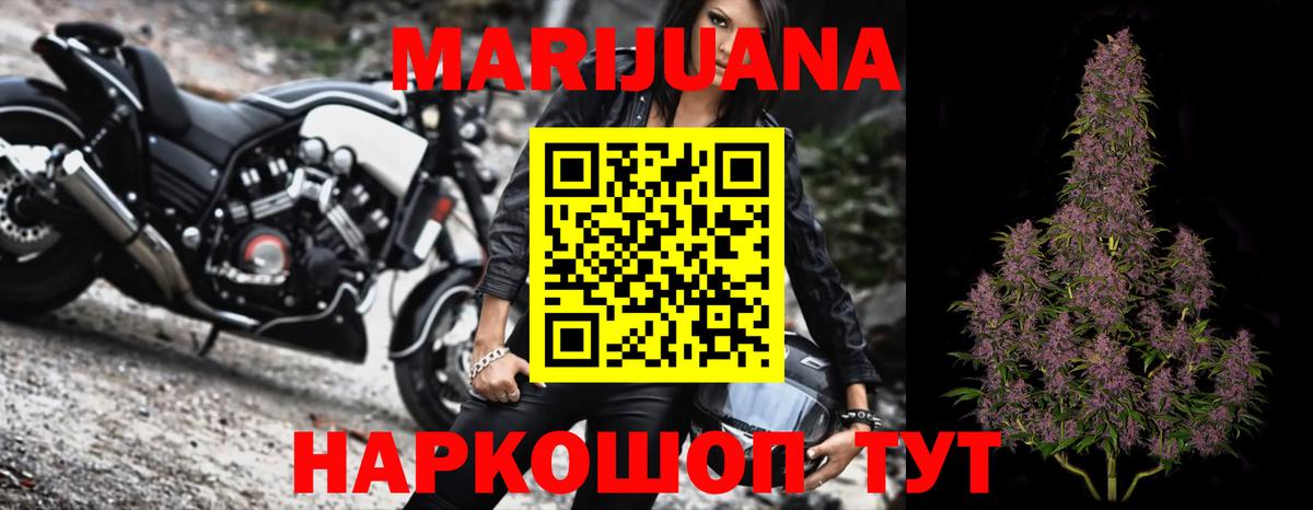 Канабис OG Kush Пугачёв